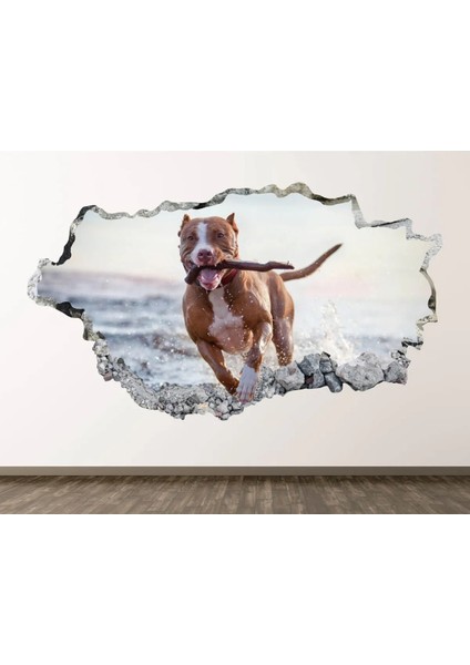 Sahildeki Pitbull Full Hd Baskı 3D Modern Duvar Sticker