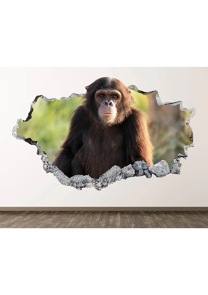 Sevimli Şempanze Full Hd Baskı 3D Modern Duvar Sticker