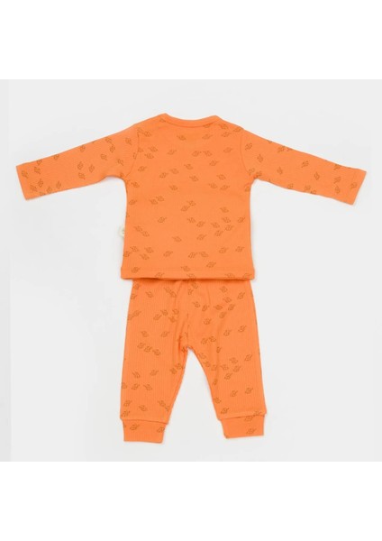 Babycosy Organik Modal Fil Desenli Şapkalı 3 Lü Bebek Takım CSYM25500 fiyatları