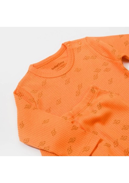 Babycosy Organik Modal Fil Desenli Şapkalı 3 Lü Bebek Takım CSYM25500 modelleri