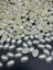Oval 11X16MM Yarım Inci Krem Plastik Inci, Hobi Aksesuar Yarım Inci (25GR,~50ADET) 2
