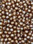 50GR 8mm Kahverengi Içi Boncuklu Akrilik Petek Boncuk,takı,çanta Yapım Boncuğu (50GR,~200 Adet) 3