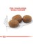 Royal Canin Sterilised 37 Kısırlaştırılmış Kedi Maması 10 kg 3