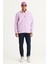 Erkek Lila Anti-pilling Tüylenme Yapmayan Standart Fit Dik Bato Yaka Sweatshirt Polar Ceket 3