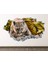 Vahşi Puma Full Hd Baskı 3D Modern Duvar Sticker 1