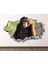 Sevimli Şempanze Full Hd Baskı 3D Modern Duvar Sticker 1