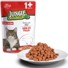 Jungle Kedi Biftekli 24 Adet 100 G Pouch
