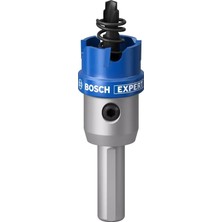 Bosch Expert Tct Elmas Uçlu Panç 20 mm