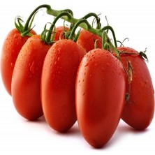 Tacirdepoticaret Kurutmalık Salçalık Rio Grande Domates Fidesi-5 Adet