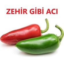 Tacirdepoticaret Zehir Gibi Meksika Jalapeno Biber Fidesi-5 Adet