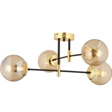 Apliqa Maral 4Lü Siyah Gold Bal Camlı Modern Koridor Mutfak Salon Retro Avize