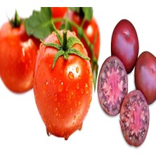 Tacirdepoticaret Kan Kırmızı Ace 55 Domates Tohumu -20 Tohum