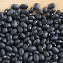 Tacirdepoticaret Geleneksel Siyah Fasulye Tohumu -10 Tohum