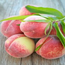 Tacirdepoticaret Tüplü Yöresel Anadolu Şentürk Şeftali Fidanı