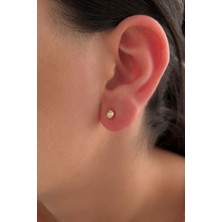 Fiyonk Kuyumculuk 14 Ayar Altın Sarı Işıltılı Top Küpe Küçük