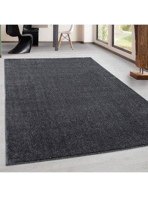 Carpettex Modern Desenli Halı Kısa Havlı Bulanık Düz Renkli Gri