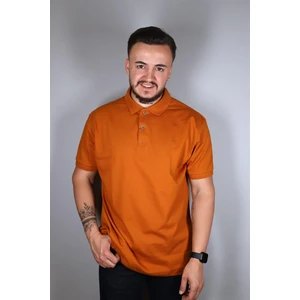 231700106 Nehir Polo Yaka Tişört Tarçın