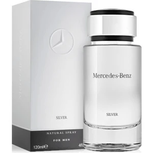 Silver For Men EDT 120 ml