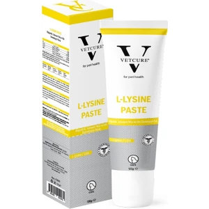 L-Lysine Kedi Bağışıklı K ve Solunu M Yolu Destekleyici Paste 100 gr