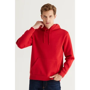 Altınyıldız Classics Erkek Kırmızı Standart Fit Normal Kesim Içi Polarlı 3 Iplik Kapüşonlu Pamuklu Sweatshirt