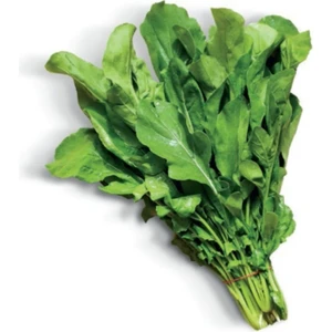 Tacirdepoticaret Doğal Roka Fidesi (5 Adet)