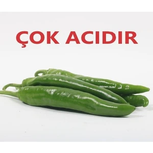Tacirdepoticaret Zehir Gibi Acı Hatay Samandağ Biber Fidesi-5 Adet
