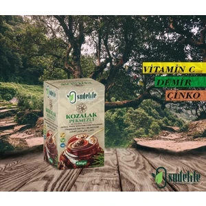 Life Çam Kozalağı Pekmezli Macun 420 gr