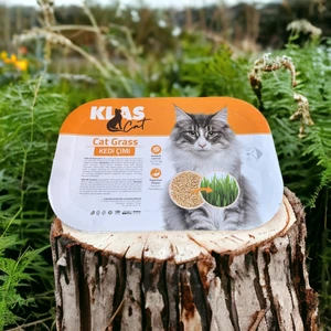 Kedi Çimi %100 Organik Sindirimm Destekleyici ve Tüy Yumağı Önleyici Çim