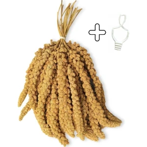 Ak Dal Darı 250 gr + Tutacak