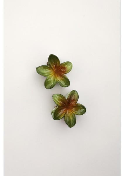 Hibiscus Lüks Asetat Çiçek Mandal Toka Mini Boy 2'li Paket modelleri