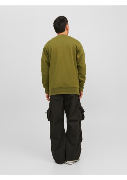 Fermuar Detaylı Erkek Sweatshirt 12240222 fırsatları
