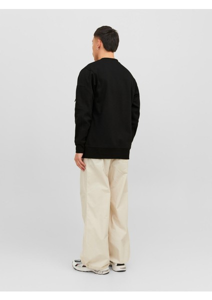 Fermuar Detaylı Erkek Sweatshirt 12240222 modelleri