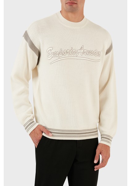 Logolu Bisiklet Yaka Regular Fit Yünlü Triko Kazak Erkek Kazak 6R1MXA 1mfuz 0128 fırsatları