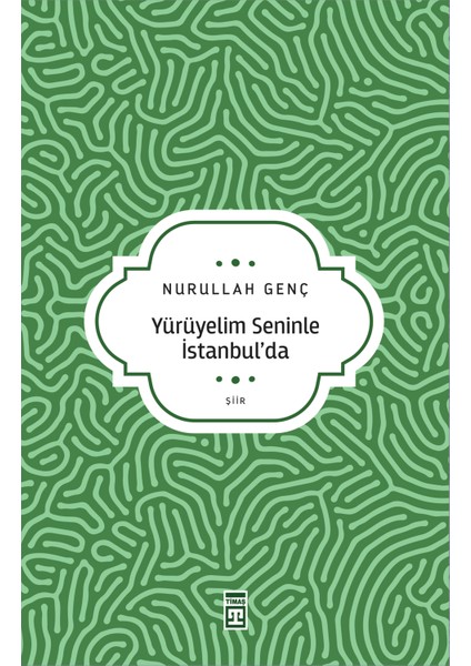 Yürüyelim Seninle İstanbul’da - Nurullah Genç