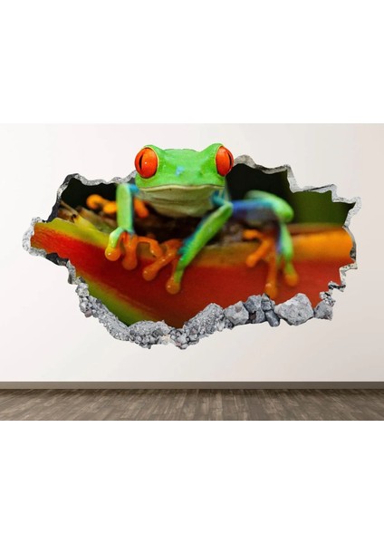 Kırmızı Gözlü Ağaç Kurbağası Full Hd Baskı 3D Modern Duvar Sticker