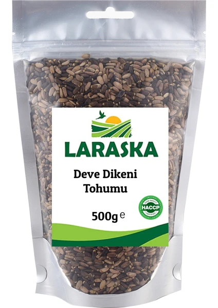 Deve Dikeni Tohumu 500 gr - Milk Thistle Seeds 500g