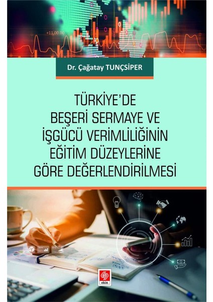 Türkiye'de Beşeri Sermaye ve Işgücü Verimliliğinin Eğitim Düzeylerine Göre - Çağatay Tunçsiper