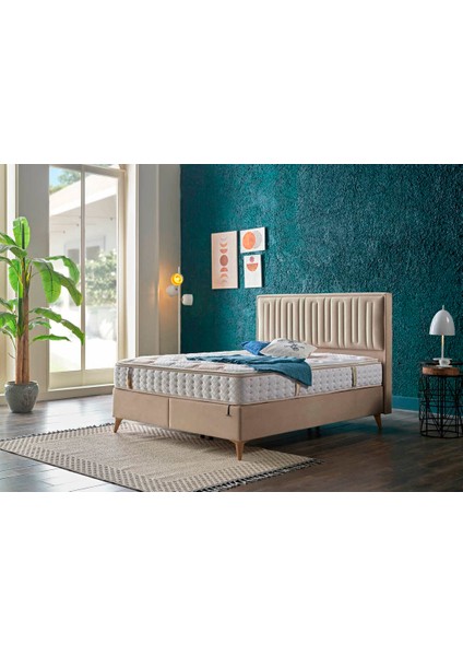 Blln 160 Lık Petra Başlık / Vıka Vızon