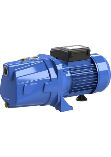 Jsp 100 Jet Pompa
