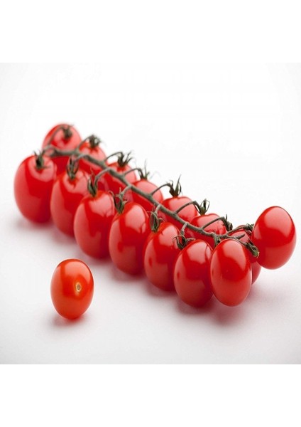 Tacirdepoticaret Ufak Çeri Pinpon Domates Tohumu -35 Tohum