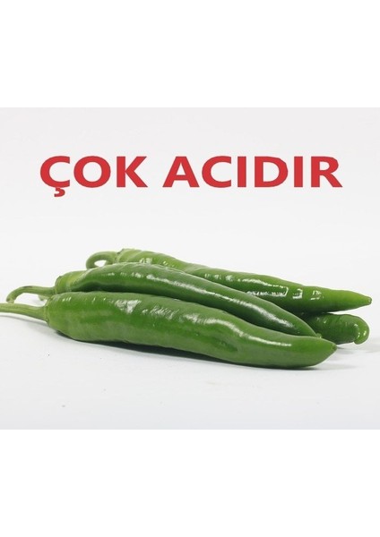 Tacirdepoticaret Zehir Gibi Acı Hatay Samandağ Biber Fidesi-5 Adet
