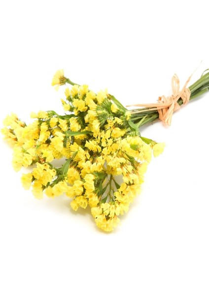 Tacirdepoticaret Kesme Sarı Deniz Lavantası Çiçeği Tohumu -30 Adet