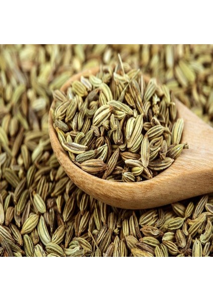 Tacirdepoticaret Şifa Kaynağı Rezene Tohumu -49 Tohum