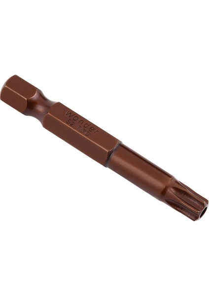Prof Delikli Torx Bits Uç T40X50 (Paket:4'lü)