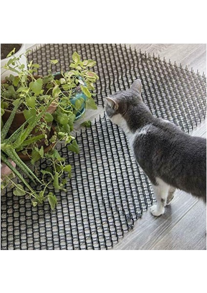 6 Adet Anti-Kedi Mat Balkon Anti-Kedi Örgü Üreticisi Plastik Pet Anti-Kedi Dikenler Bahçe Bitkileri Kedileri Kovmak Için (Yurt Dışından) fiyatları