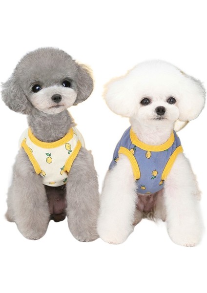 2teddy Limonlu Atlet (Yurt Dışından)