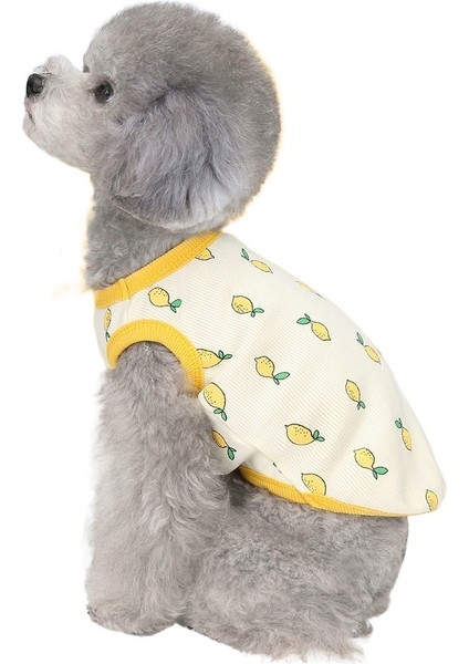 2teddy Limonlu Atlet (Yurt Dışından)