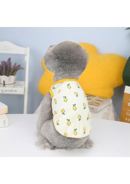 2teddy Limonlu Atlet (Yurt Dışından) modelleri