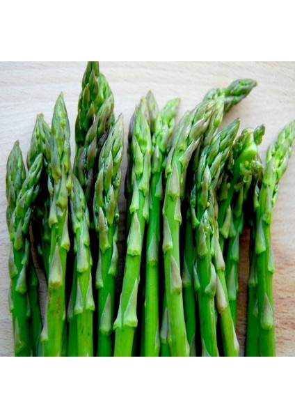 Tacirdepoticaret Doğal Kuşkonmaz (Marry Washington) Tohumu -20 Tohum