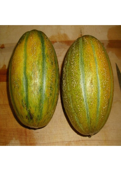 Tacirdepoticaret Bal Gibi Minnesota Midge Kavun Tohumu -10 Tohum